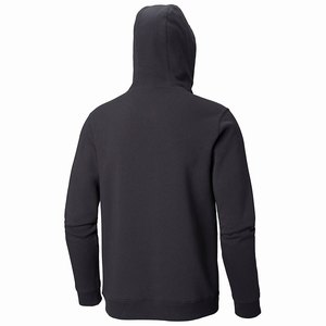 Columbia CSC Basic Logo™ II Hoodie Herr MörkGrå (NFRPD3269)